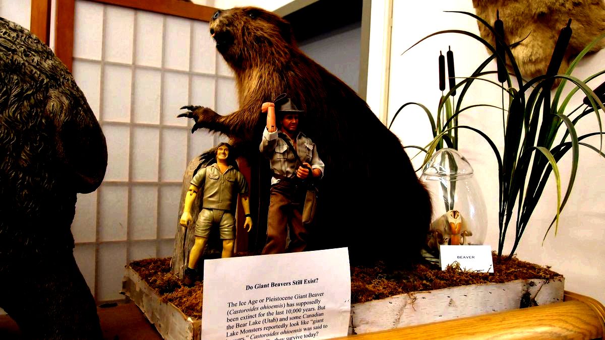 Giant beaver display