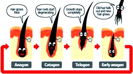 What's the distinction between hair wax & hair paste? Regular utilization of texturizing hair